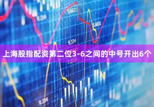 上海股指配资　　第二位3-6之间的中号开出6个