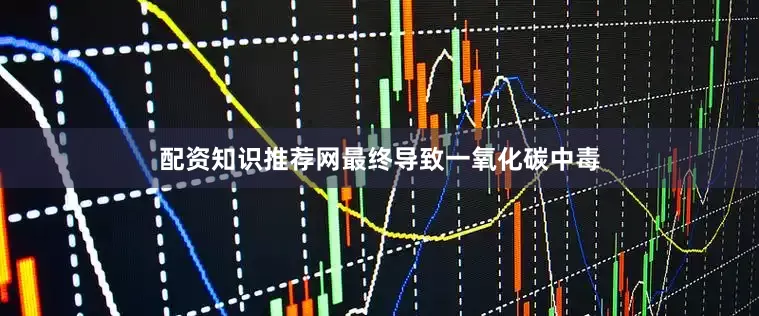 配资知识推荐网最终导致一氧化碳中毒