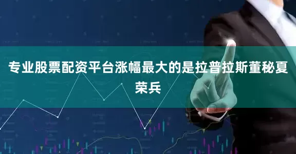 专业股票配资平台涨幅最大的是拉普拉斯董秘夏荣兵
